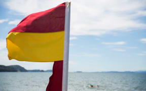 Surf lifesaving flags out at the beach.