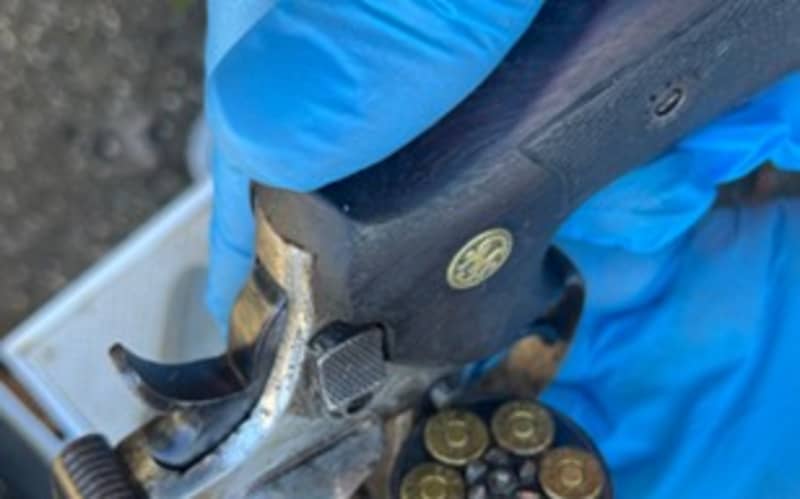 Explosives, loaded guns and drugs found at man's property | RNZ