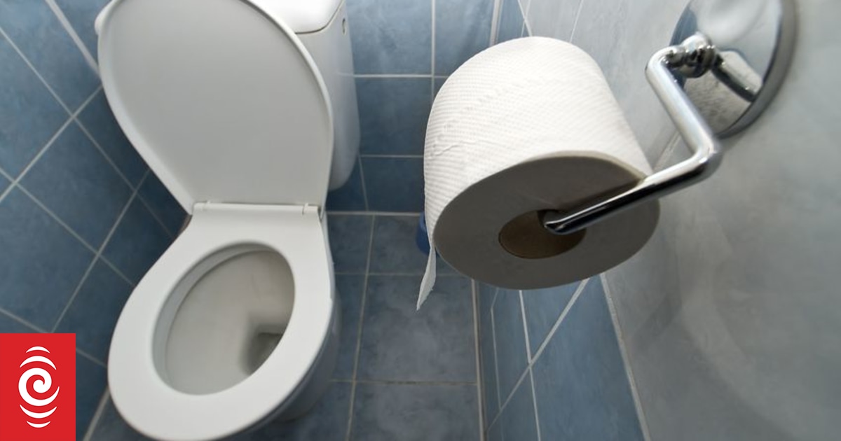 NZ First toilet bill: Not enough unisex loos, planning expert says - Vimarsana News