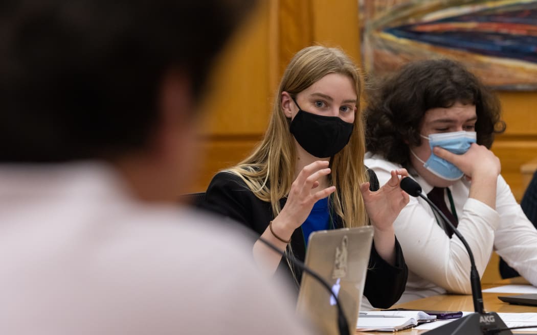 Youth MP Rhiannon Mackie quizzes a witness during a select committee hearing.