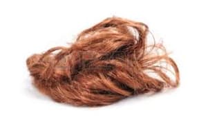 toupee