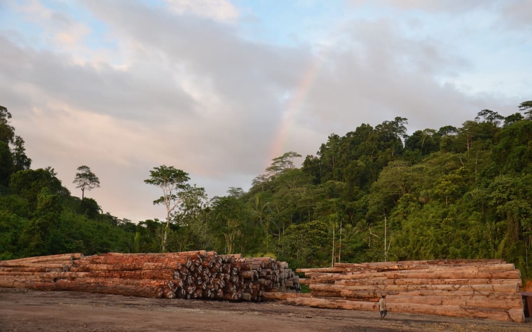 Piles of export ready logs on PNG's Manus Island, October 2019.