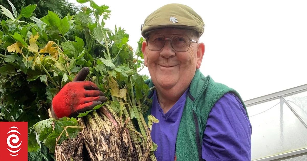 Gerald Stratford: Big veg grower and social media star | RNZ