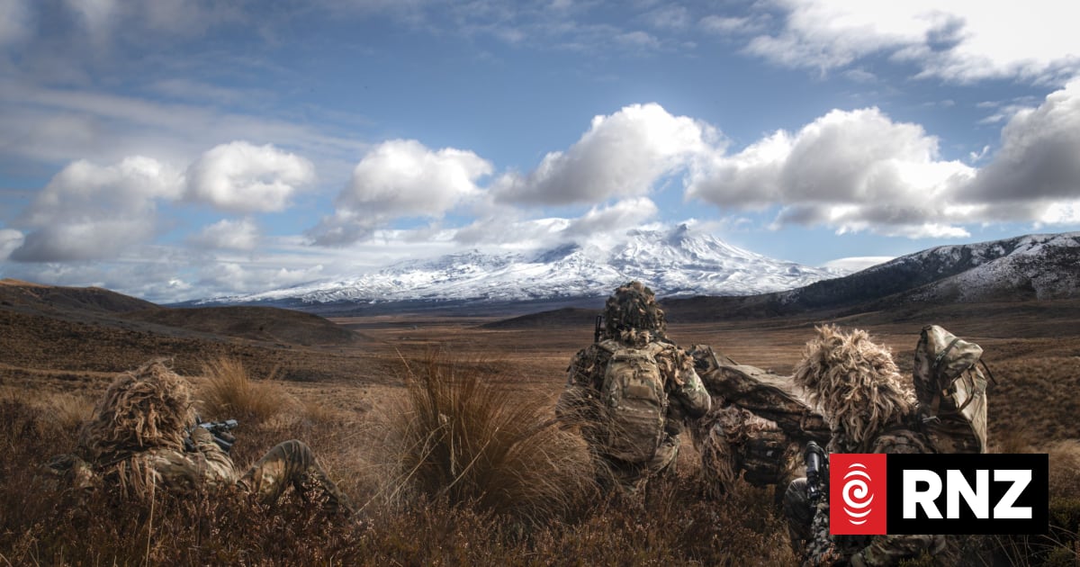 Any NZ peacekeeping in Ukraine would be a 'one-hit wonder' - veteran | RNZ