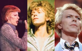 Bowie Comp