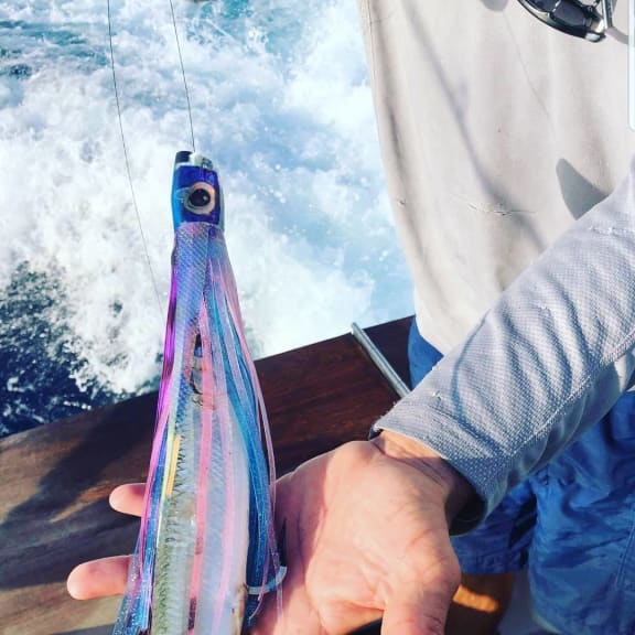 Fledgling, yet thriving fishing lure business
