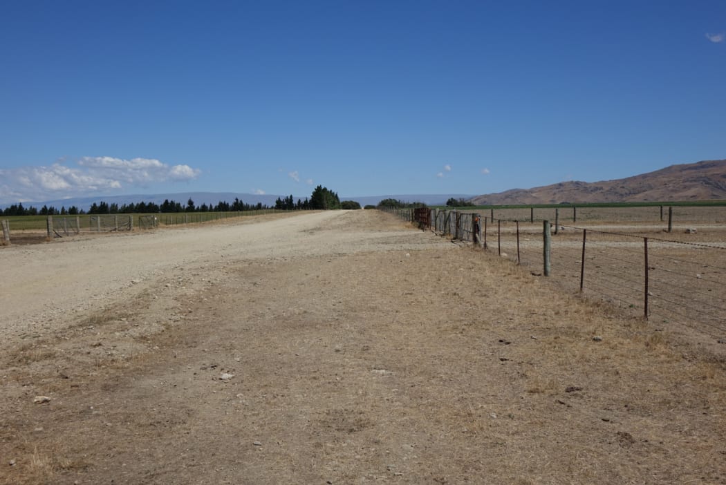 Dry farmland in Central Otago.
