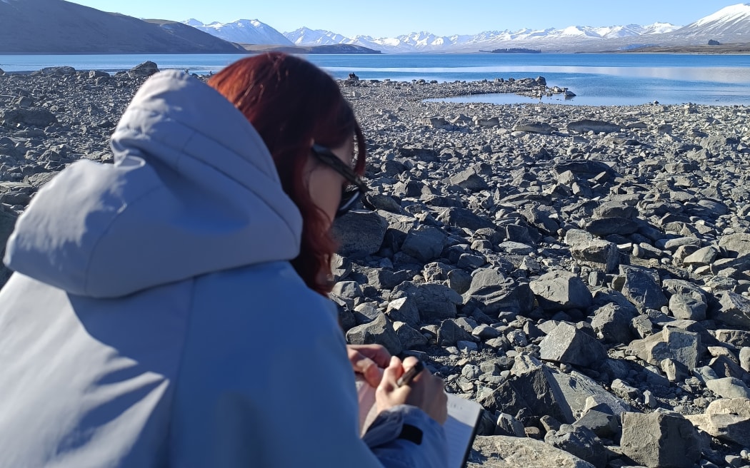 Tourists say the practice has become a unique part of visiting Lake Tekapo.