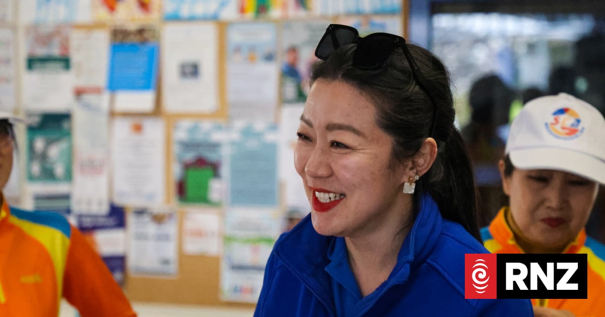 'What we need is time': National list candidate Nancy Lu eyes party votes to retain seat
