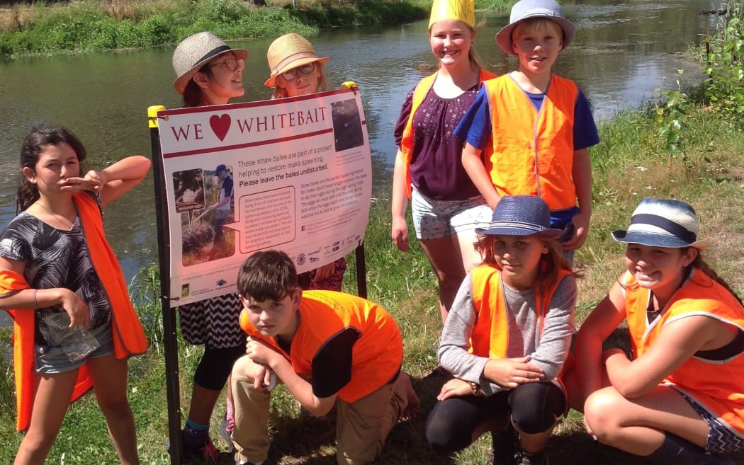 Lyttelton Primary School at one of their bale pest monitoring sites.
