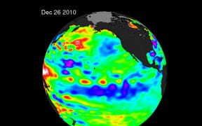This NAS enhanced satellite illustration from December 26, 2010 shows La Niña by the large (blue and purple) water stretching from the eastern to the central Pacific Ocean, reflecting lower than normal sea surface heights.