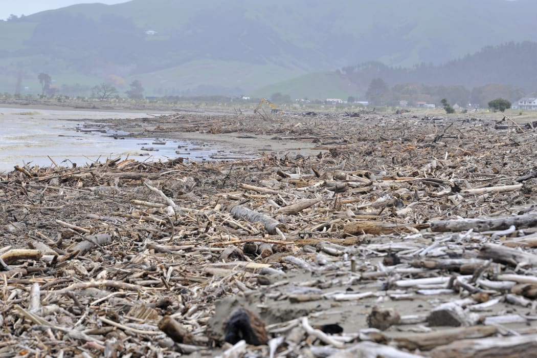 Gisborne District Council principal scientist Dr Murry Cave says the impacts of the forestry harvest in severe storms could increase in the future.