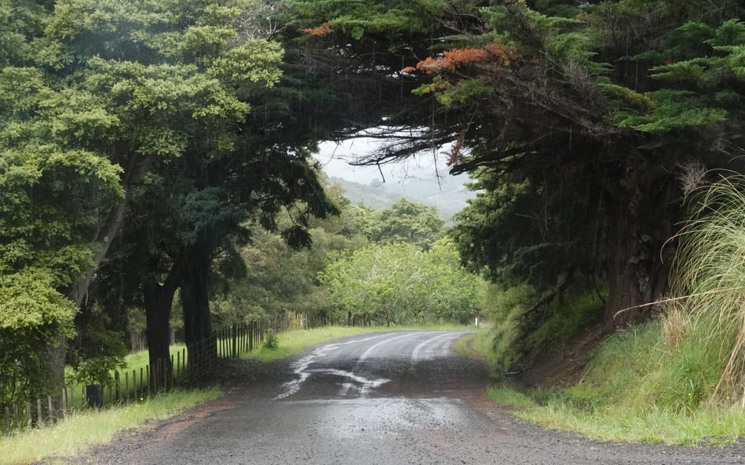 Dave Davan was a farmer and shearer on Puhata Road, in isolated Herekino, south of Kaitāia. Photo: RNZ / Peter de Graaf