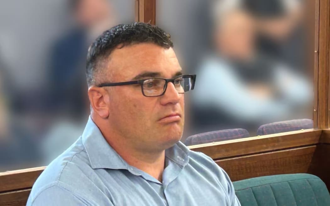 Michael David Cooper pleaded guilty to dangerous driving causing injury after a hit and run in Miramar, on 16 October, 2022.