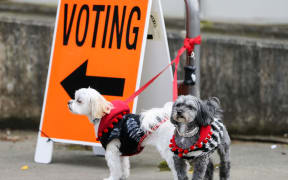 WELLINGTON, NEW ZEALAND - SEPTEMBER 23:  Two dogs wait outside the voting station at Aro Valley Community Centre on September 23, 2017 in Wellington, New Zealand. Voters head to the polls today to elect the 52nd Parliament of New Zealand.  (Photo by Hagen Hopkins/Getty Images)