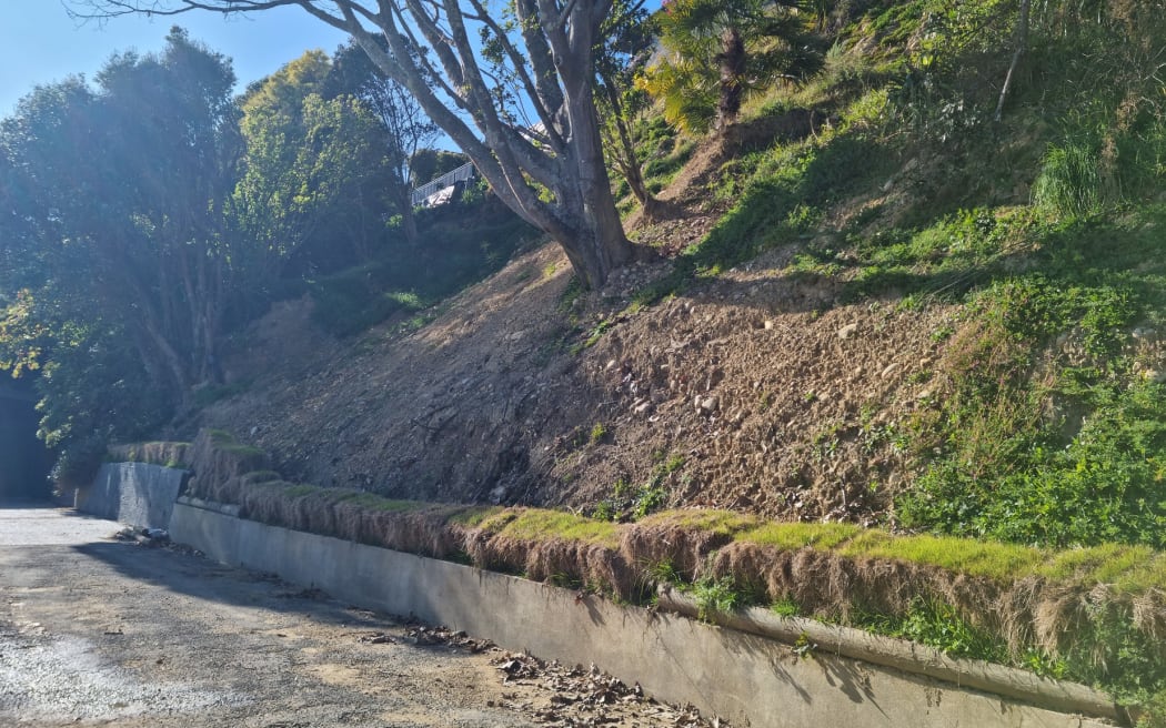 The exposed slope behind Julie Ambrose and Geoff Moffett's house which has left their house red-stickered.