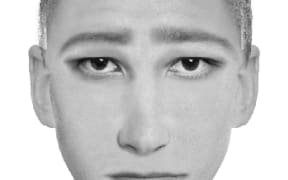 The police sketch of the Aro Valley intruder