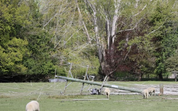 Is wild spring weather the new normal? | RNZ