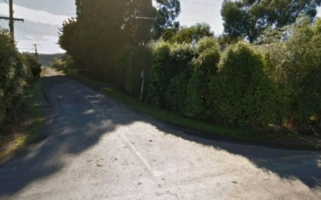 A Google street view picture of the overgrown foliage. HAMISH MCNEILLY / STUFF