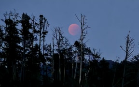 The lunar eclipse / blood moon as seen from Tairua.