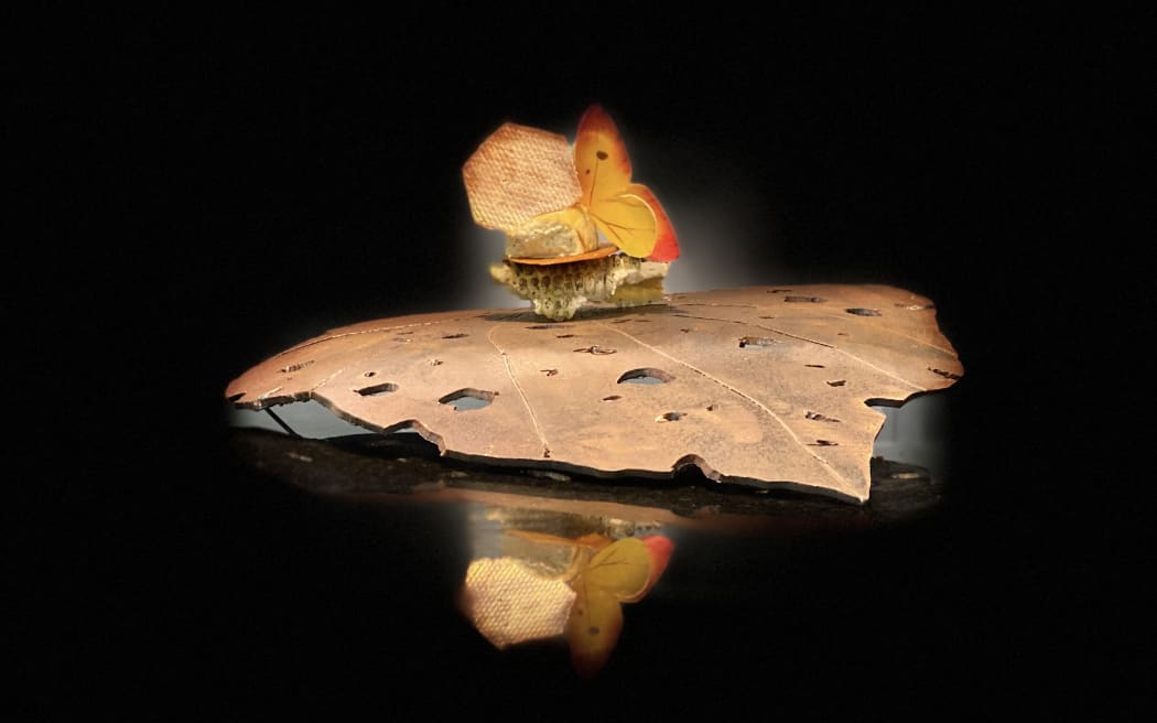 Mushroom caramel with kawakawa custard by Jasbir Kaur