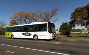 Hastings bus