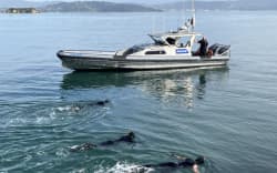 A police dive squad in Lower Hutt.