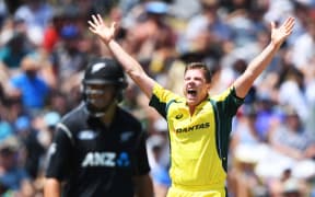 James Faulkner successfully appeals for a wicket in the 2017 World Cup final against New Zealand at the MCG.