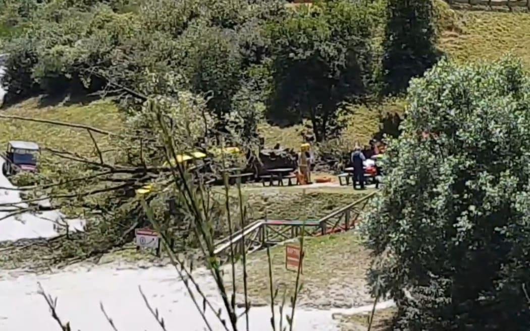 Emergency services at the scene of the fallen tree that injured five people.