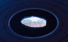Illuminated fingerprint
