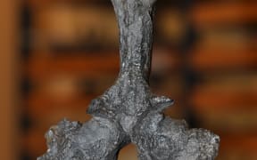 Oldest Southern_Sauropterygian_Fossil