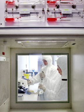 Researchers can work with live TB bacteria.