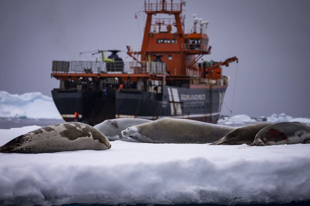 A ship in the Antarctic carrying Turkish scientists on a research expedition.