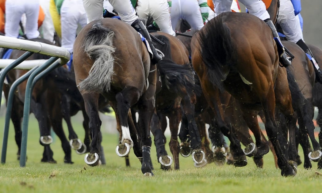 The case has been labelled the biggest scandal in Australian horse racing.
