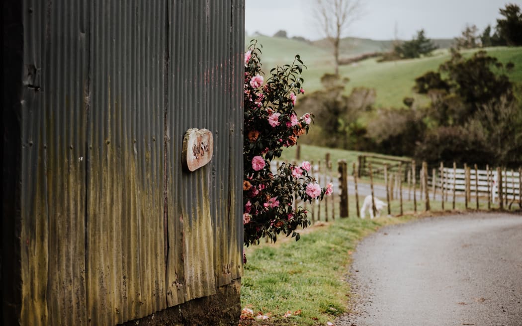 Rosie and Robert, both 65, farm some 200 hectares at Kaimata, just outside Kōhanga Moa - Inglewood in Taranaki, on a property that has been in Robert's family for generations.