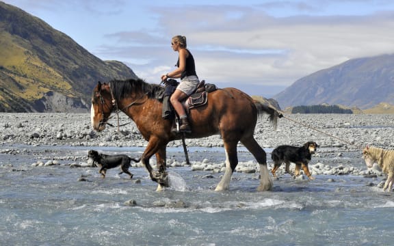Photo of Erin Cassie on her Clydesdale horse, Monty.