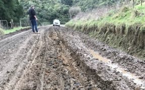 Puniwhakau Road logging trucks' damage in 2021