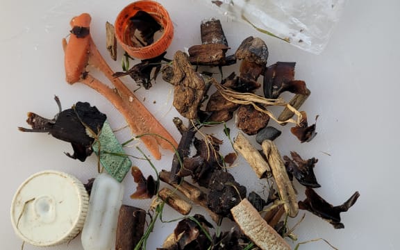 An example of plastic found in the regurgitation of an allbatross chick. Credit: DOC