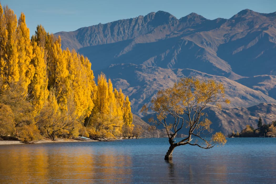 Lake Wanaka