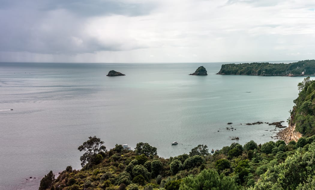 Beach in Coromandel Peninsula, North Island, New Zealand