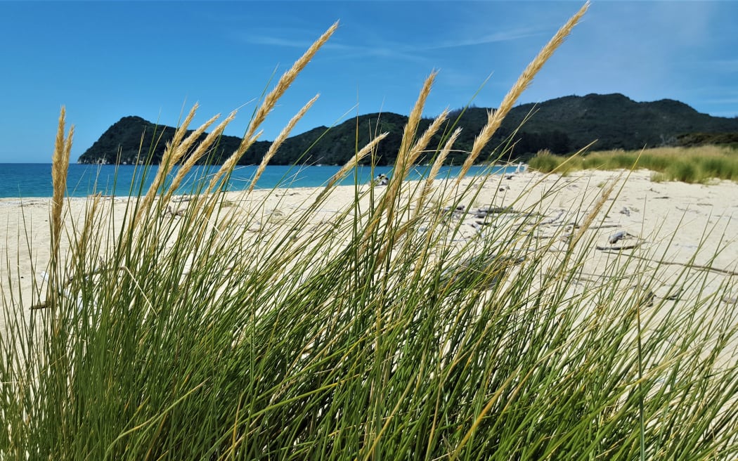 Awaroa head, Abel Tasman