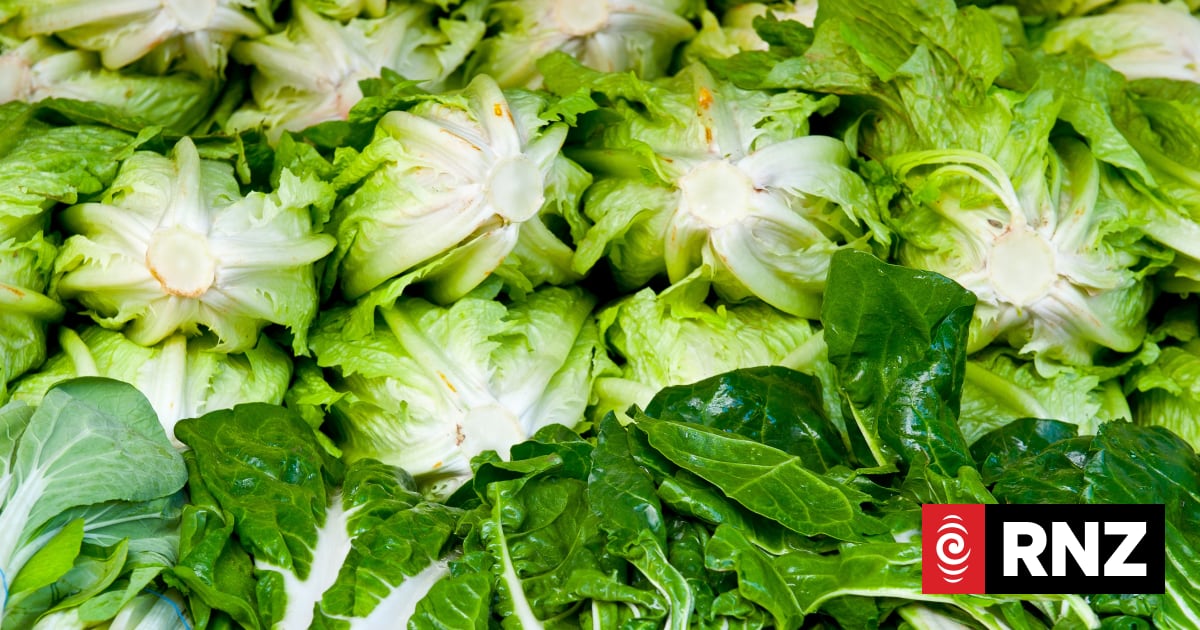 Internal documents warn of food safety risk after MPI said none existed