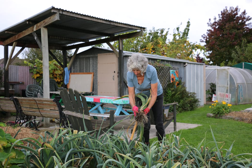 Kaiapoi Community Garden