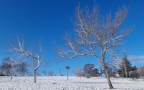 Snow in Dunedin on 10 August 2023