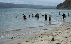 A pod of whales have stranded on a beach near Māhia, in Tairāwhiti.