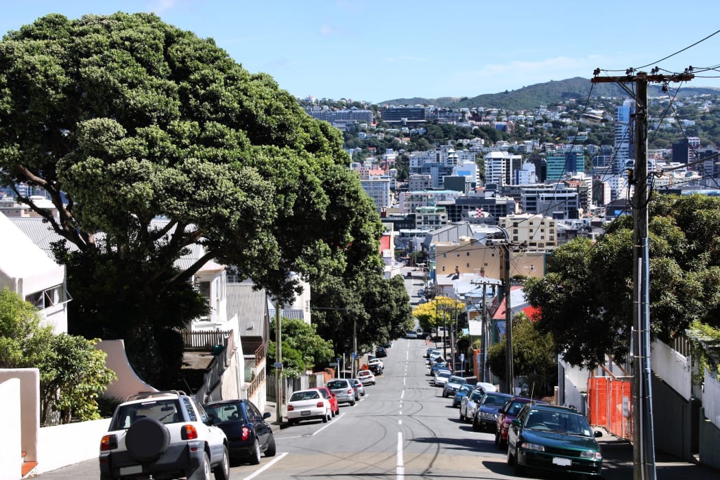 14301140 - wellington, new zealand - street with cars parked alongside