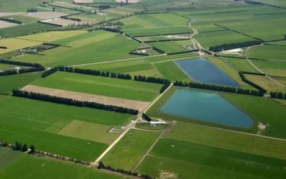 New Zealand farmland