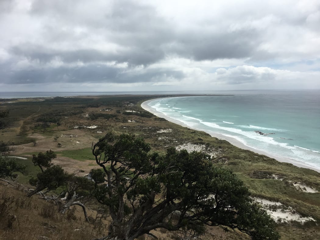 View of Tupuangi, situated along the point, looking from Maunganui where survivors ran to safety