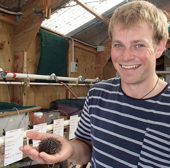 Arie Spyksma at the Leigh Marine Laboratory, holding a sea urchin