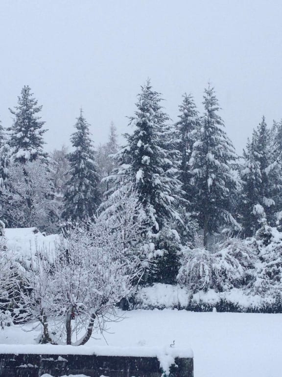 Hanmer Springs in Canterbury on Thursday.
